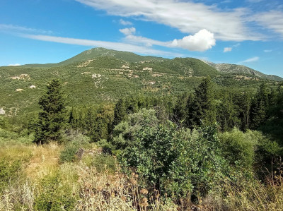 Poros_Blue _Green_002.jpg